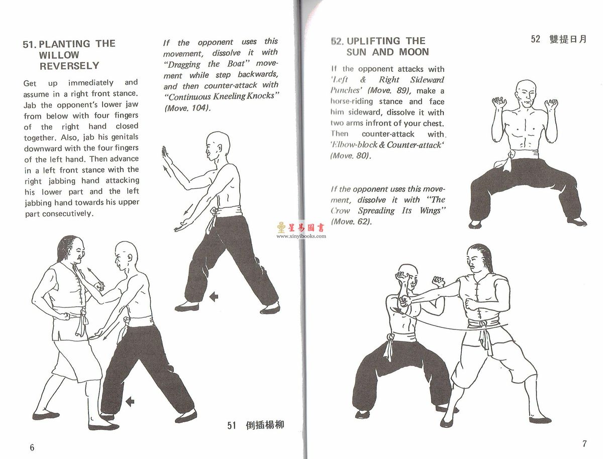 Dr. Leung Ting梁挺博士：108 Movements of The Shaolin Wooden-men Hall #2