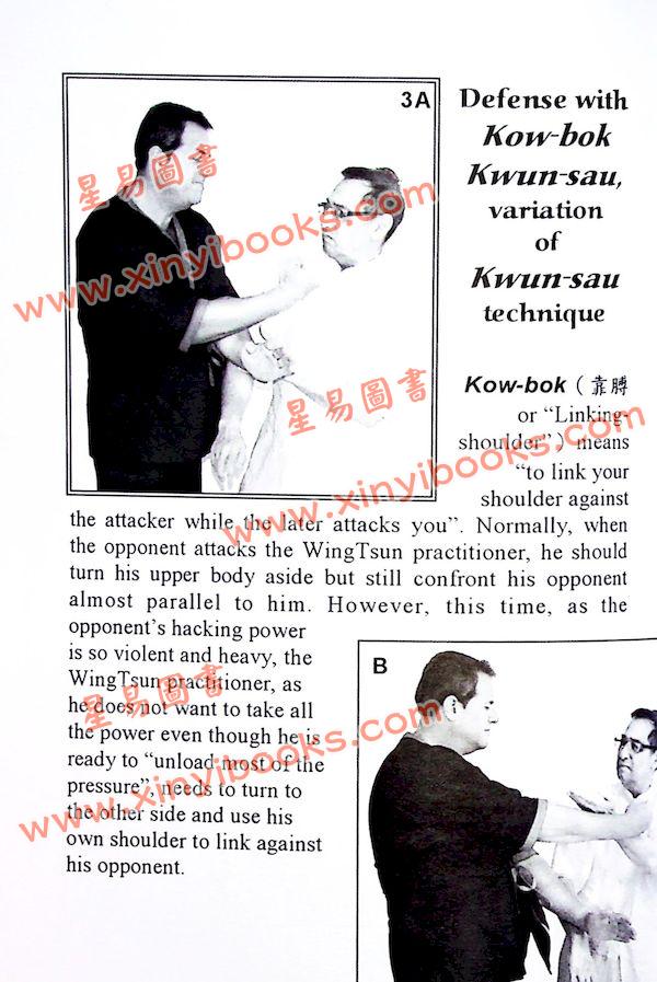 Dr. Leung Ting：Chi-Sau V-VII of the Wing Tsun System（良仕行）黐手5-7