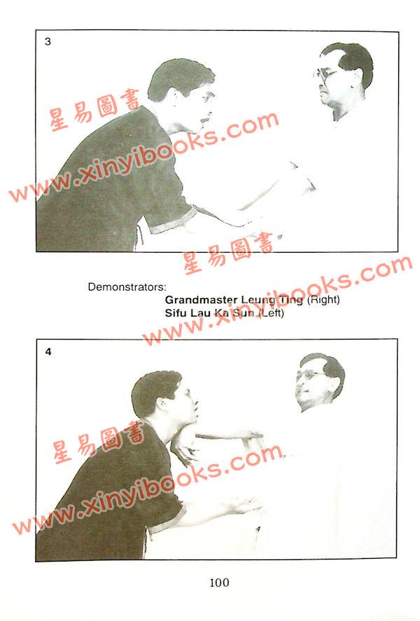 Dr. Leung Ting：Siu Nim Tau（良仕）小念頭