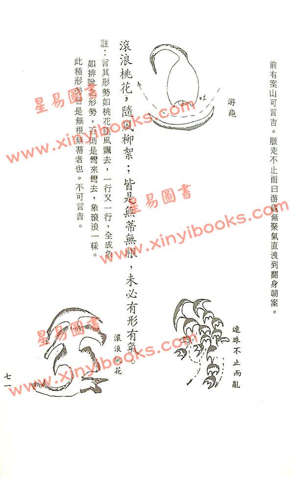 张渊量：雪心赋图解（台湾三泰）